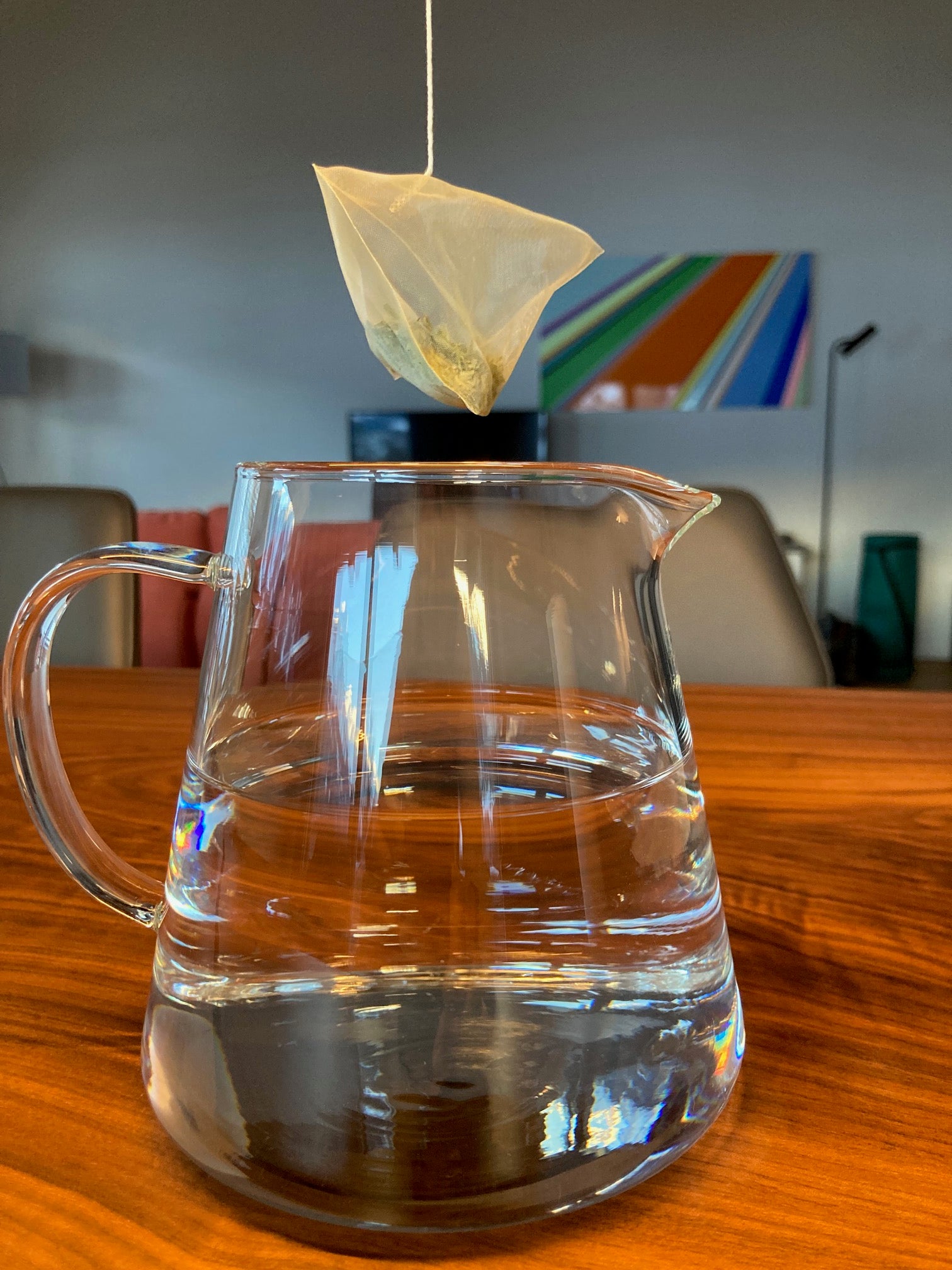 Japan Mizudashi Sencha Bio Teebeutel, 10 x 4 g